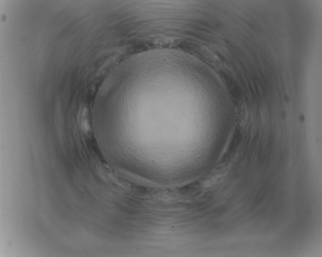 X0000075920962200610062204