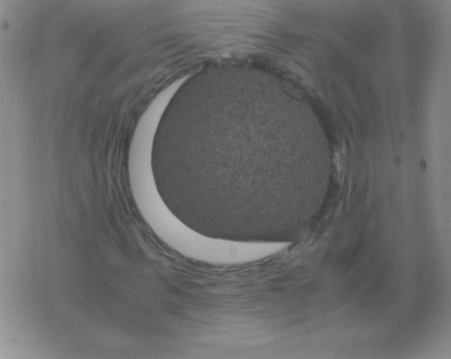 X0000075920963200610062204