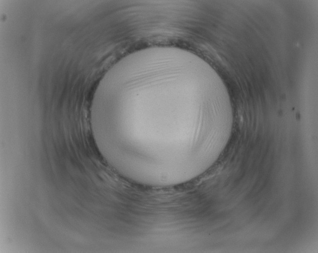 X0000075920964200610062204