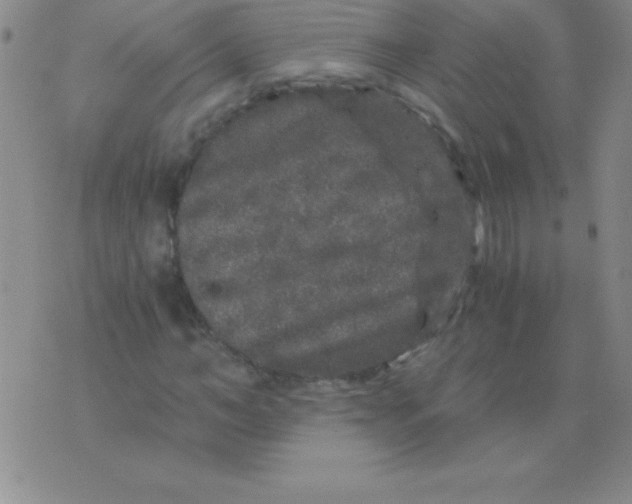 X0000075920966200610062203