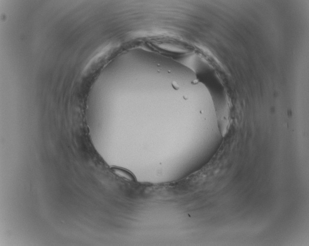 X0000075920967200610062203