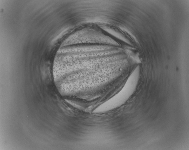 X0000075920968200610062203