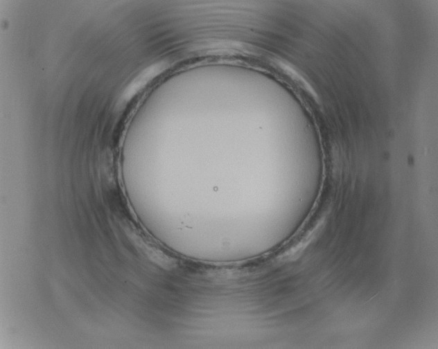 X0000075920970200610062203