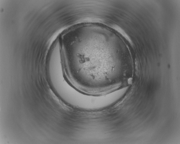 X0000075920972200610062203