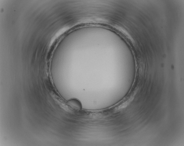 X0000075920974200610062203