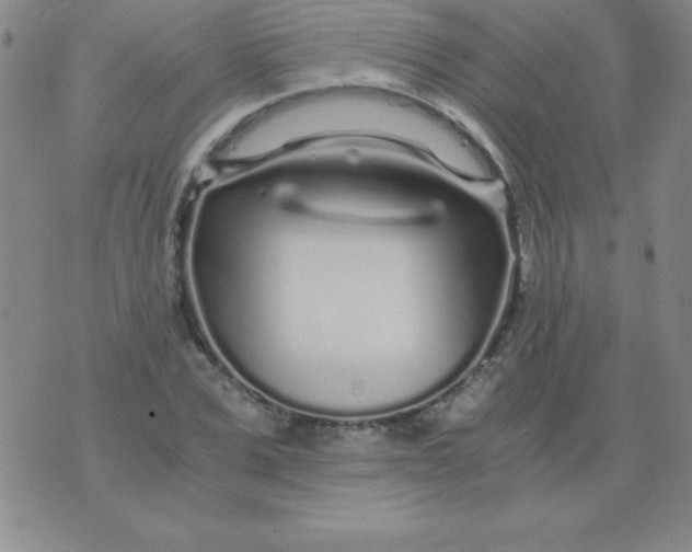 X0000075920975200610062203