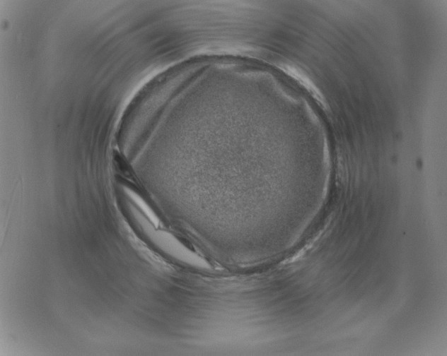 X0000075920976200610062203