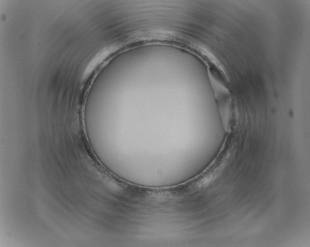 X0000075920978200610062203