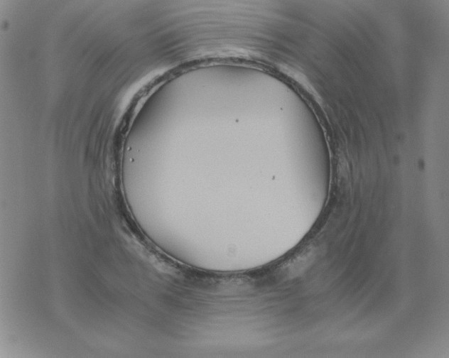 X0000075920979200610062203