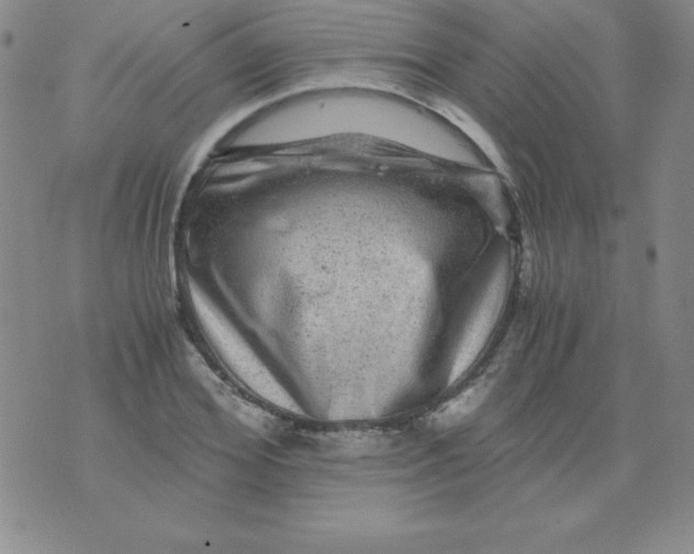 X0000075920980200610062203