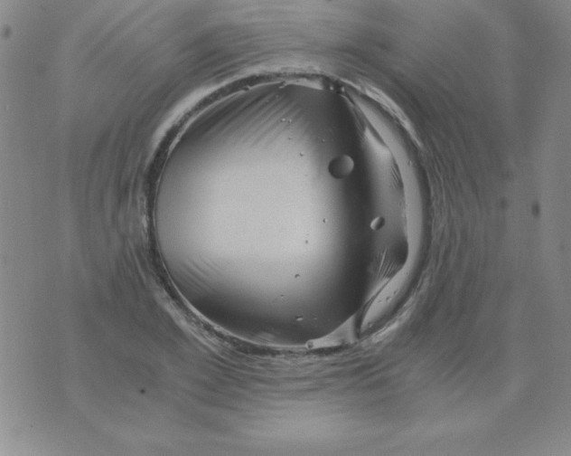 X0000075920981200610062203