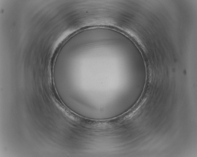 X0000075920982200610062203