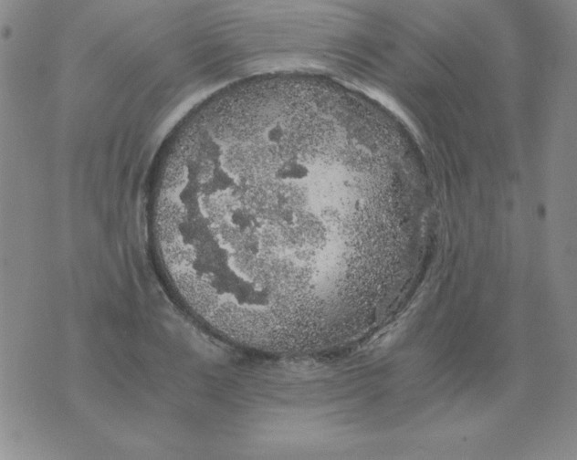 X0000075920983200610062203