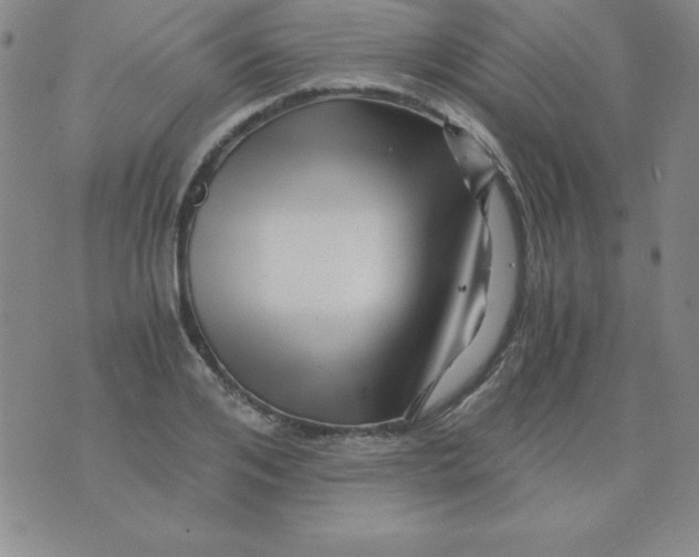 X0000075920984200610062203