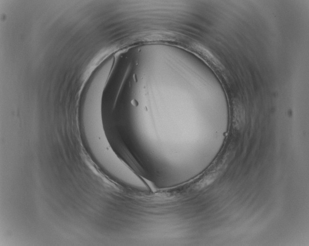 X0000075920986200610062203