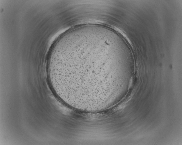 X0000075920987200610062203