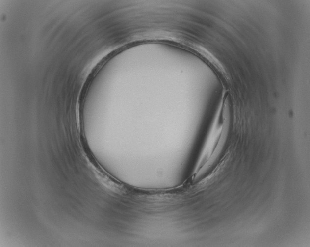 X0000075920988200610062203