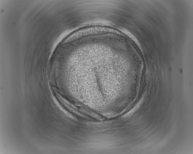 X0000075920989200610062203