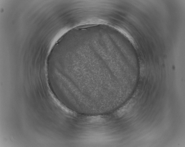 X0000075920990200610062203