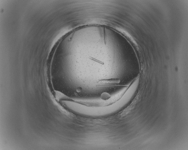 X0000075920991200610062203