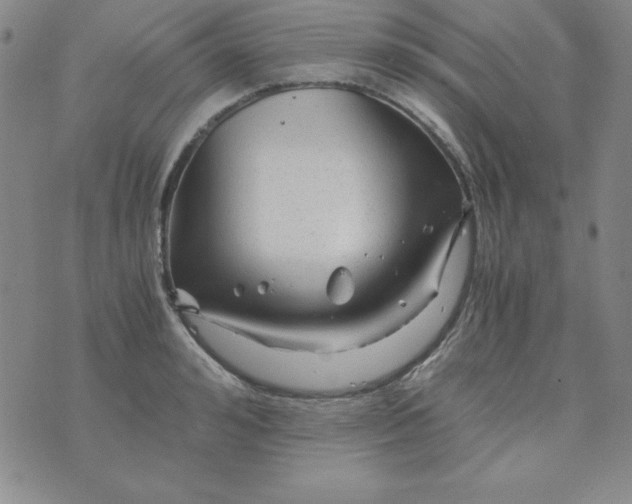 X0000075920992200610062203