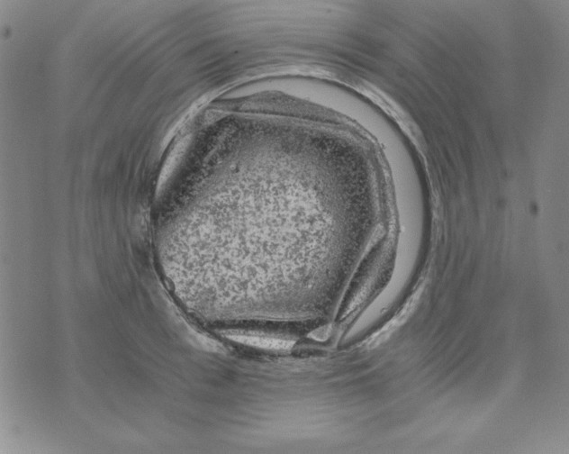 X0000075920993200610062203