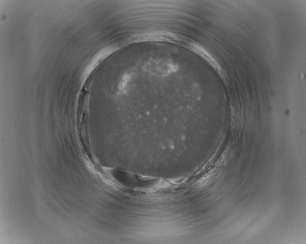 X0000075920994200610062203