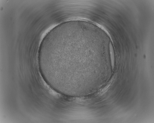 X0000075920995200610062203