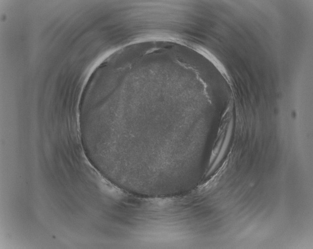 X0000075920996200610062203