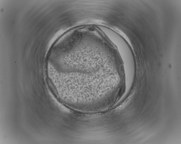 X0000075920997200610062203