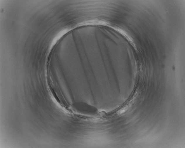 X0000075920998200610062203