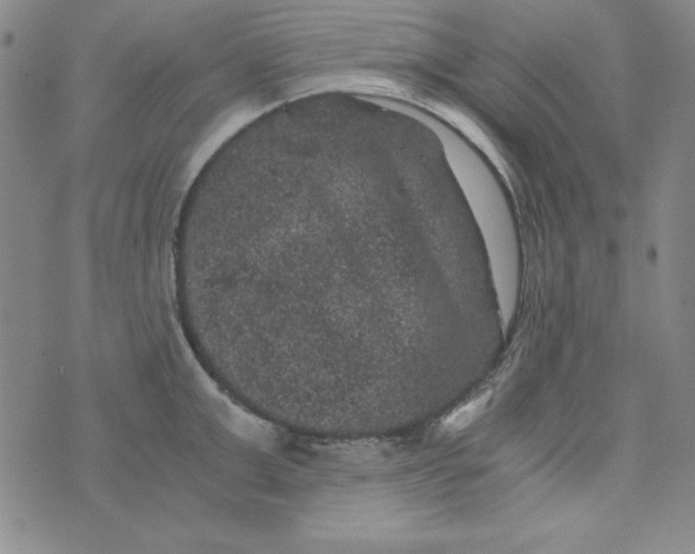 X0000075920999200610062203