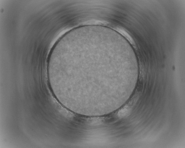 X0000075921000200610062203