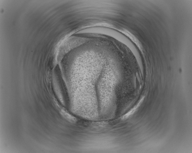 X0000075921001200610062203