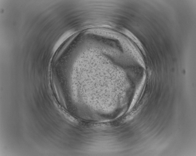 X0000075921002200610062203