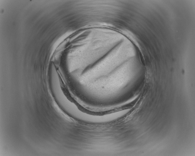 X0000075921003200610062203