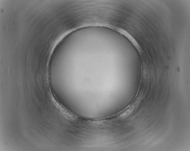 X0000075921004200610062203