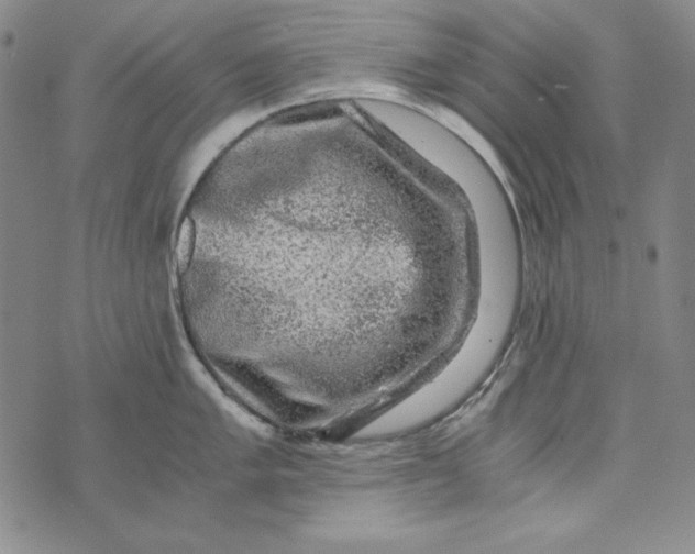 X0000075921005200610062203