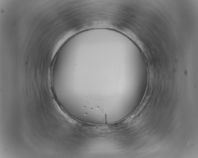 X0000075921006200610062203