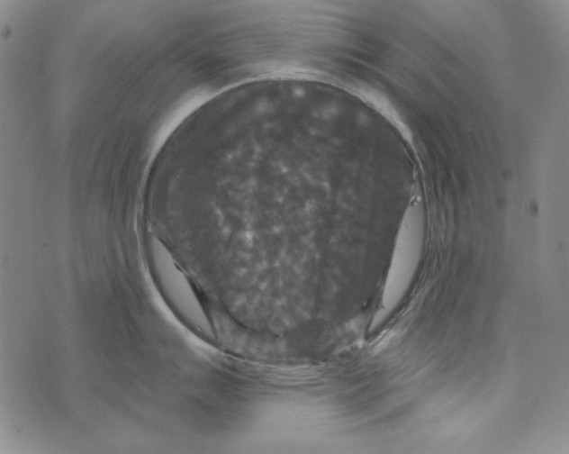 X0000075921007200610062203