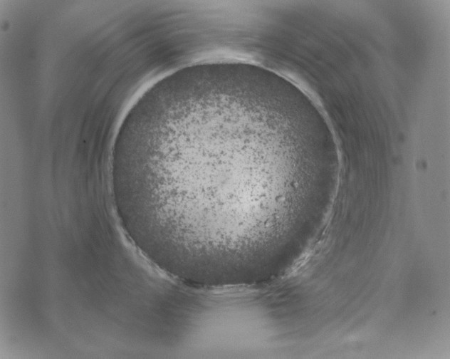 X0000075921008200610062203