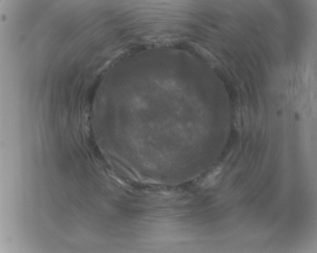 X0000075921010200610062202