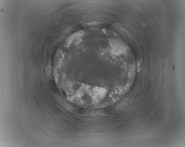 X0000075921011200610062202