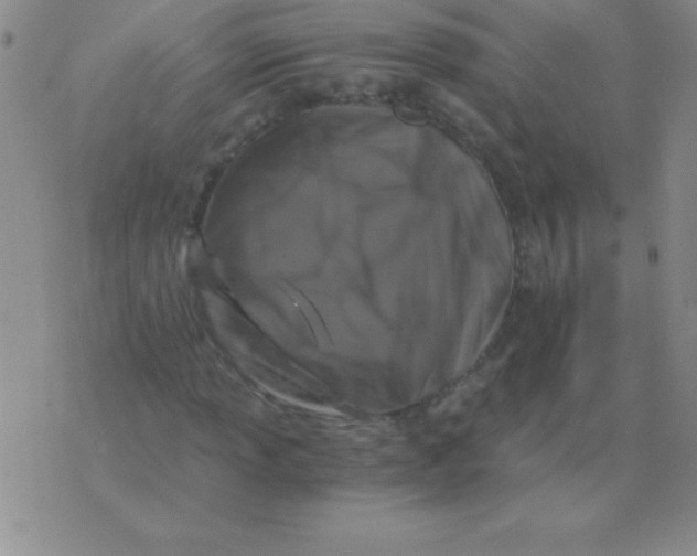 X0000075921013200610062202