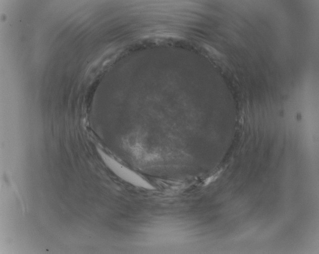 X0000075921014200610062202