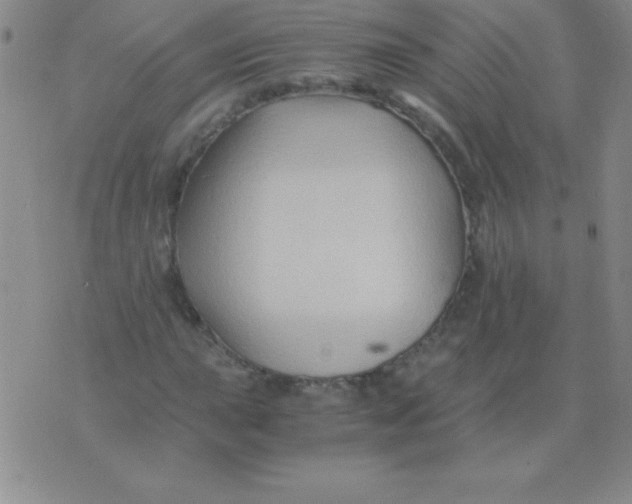 X0000075921015200610062202