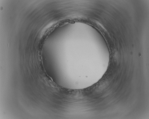 X0000075921016200610062202