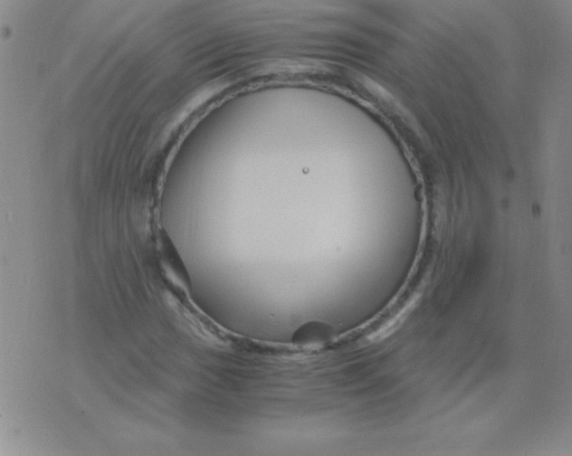 X0000075921017200610062202