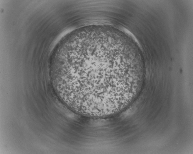 X0000075921019200610062202