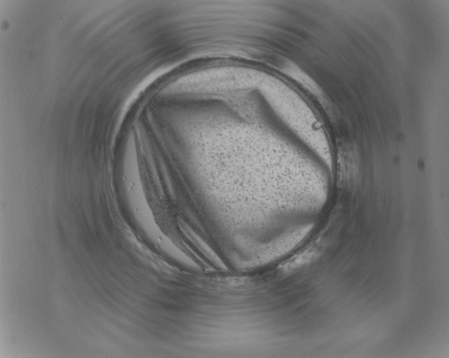 X0000075921020200610062202